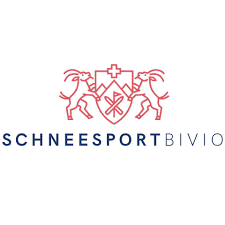 Schneesport Skischule Snowboardschule Carvingschule  Kitesurfen